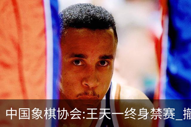 中国象棋协会:王天一终身禁赛 撤销特大等称号