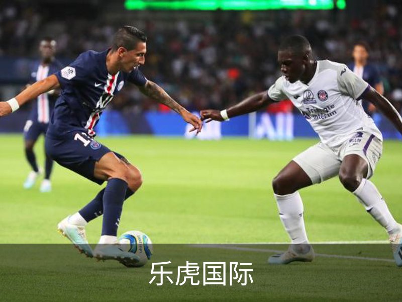 乐虎国际概况